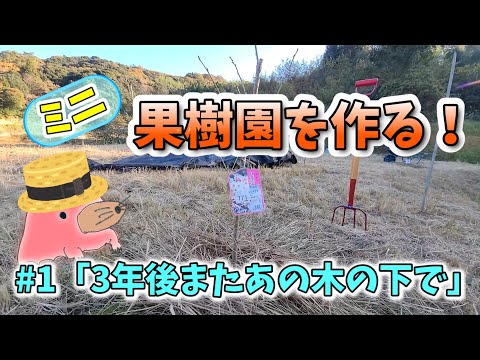 一緒に植えてはいけない果樹協会のリスト 庭の果樹園