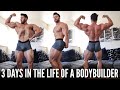 3 DAYS IN THE LIFE OF A BODYBUILDING COMPETITOR | 12 WEEKS OUT...