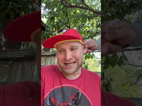 Как Мы ЧЕРЕШНЮ ОБРЫВАЛИ (смешное видео, юмор, приколы, прикол, поржать, вайны)