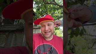 Как Мы ЧЕРЕШНЮ ОБРЫВАЛИ (смешное видео, юмор, приколы, прикол, поржать, вайны)