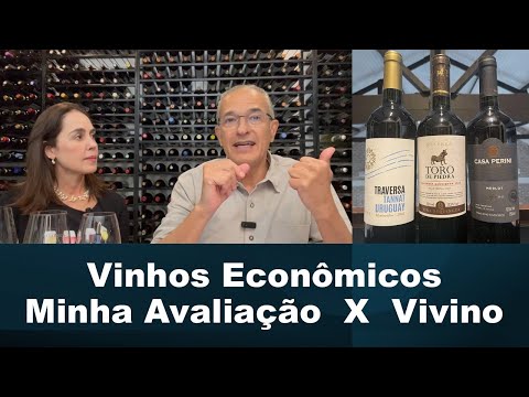 AFFORDABLE WINES: MY REVIEW X VIVINO