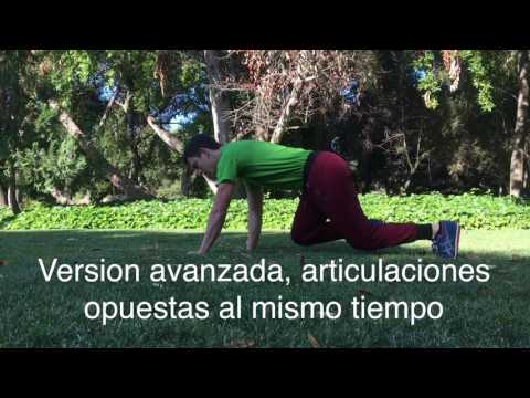 Quadrúpedos: Tigre e Cangrejo