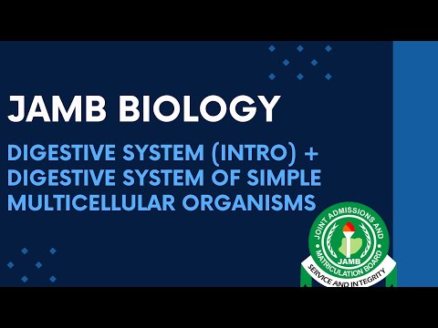 JAMB Biology 2025 EP 66 - Digestive System (Intro) + Digestive System of Simple Multicellular Org.
