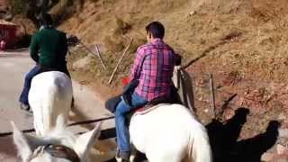 preview picture of video 'Horse Riding at Murree'