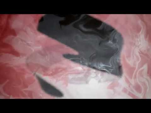 Mollono.Bass & Seth Schwarz - Metempsychosis (Official Video)