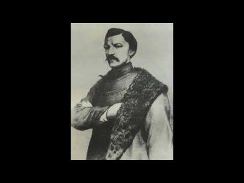 Karel Havlíček Borovský byl průkopníkem žurnalistiky