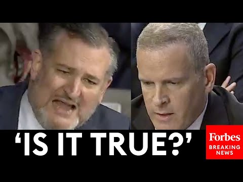 BREAKING NEWS: Ted Cruz Explodes On Top FBI Official Over Biden 'Bribery  Scheme' Allegations