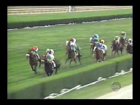 1995 Manhattan Handicap - Awad
