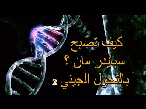 كيف تصبح الرجل العنكبوت؟ شرح علمي | سلاح بشري جديد ! الجزء الثاني 2