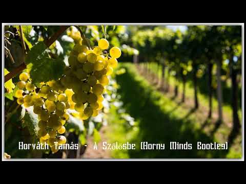 Horváth Tamás - A Szőlősbe (Horny Minds Bootleg)
