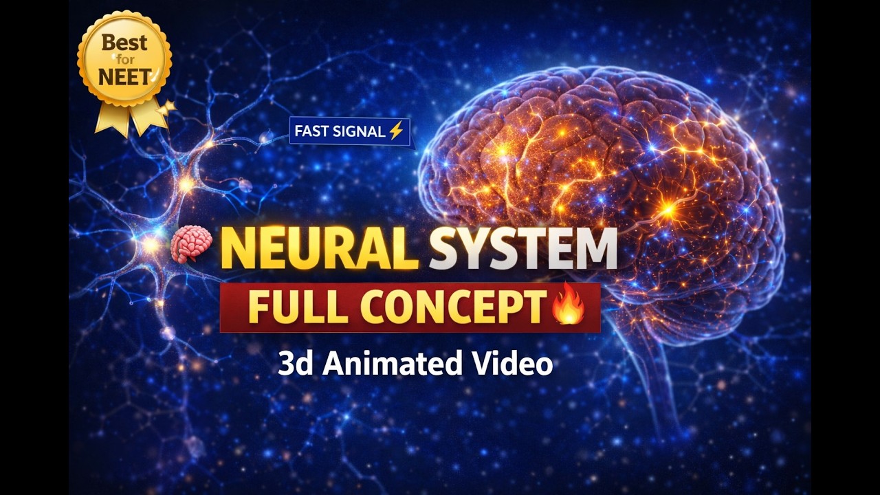 CBSE Class 11 Biology || Neural System