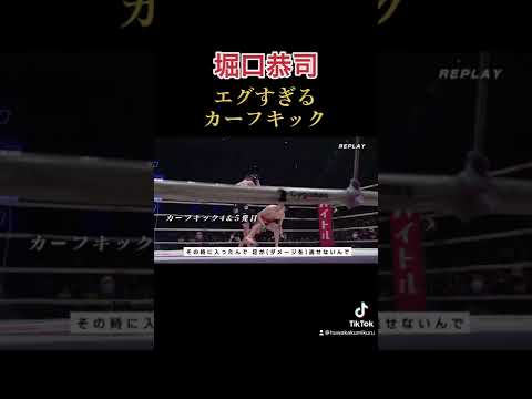 堀口恭司 エグすぎるカーフキック