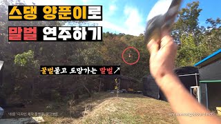 스댕 양푼이로 말벌 때려잡기