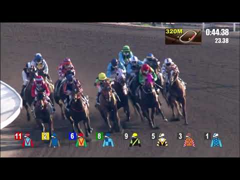 21/2/2021 (448) Silver Fig - K Teetan