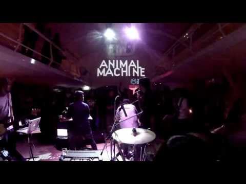 ANIMAL MACHINE LIVE @ BED SUPPERCLUB