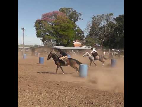En busca de la final en pruebas de riendas Juveniles en Oro Verde Entre Rios