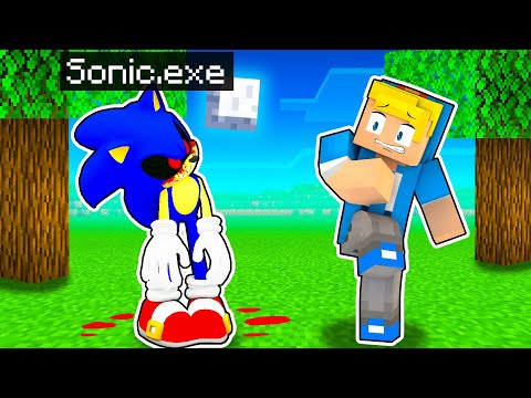 Sonic EXE Mi Vuole Fare FUORI Su Minecraft!
