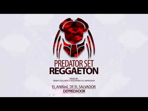 -- Predator SET REGGAETON - Depredador El Animal De El Salvador