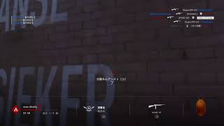 [BFV]StG強すぎか！ ？きまま配信