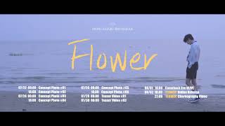 홍은기(HONG EUNKI) 플라워 FLOWER Comeback schedule film🎥