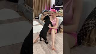 Lại khối ông thích làm chó