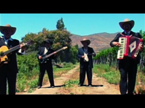 Amor Perdóname - Los Gavilanes De La Frontera (Rancheros De Tomo Y Lomo)