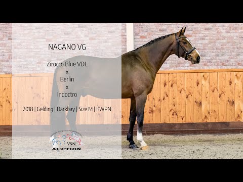 Nagano VG (v.Zirocco Blue x Berlin)