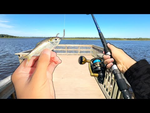 I Caught a BIG Fish at a NEW Pier! (Saltwater Fishing)