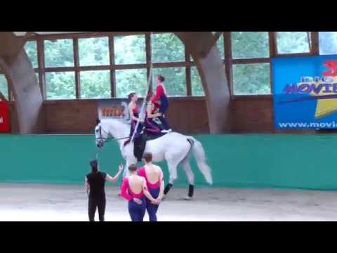 Juniorteam Rostock auf der DJM 2015 in Krumke