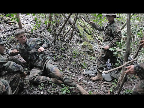 The Cascadian-Californian War