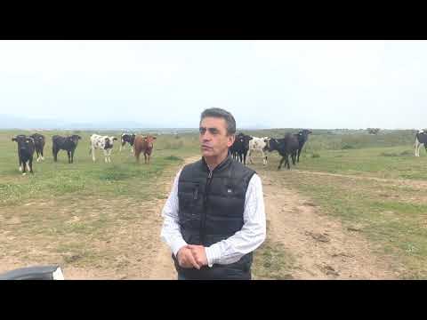 Hoy vamos a DAR DE COMER A AÑOJAS de Monteviejo y Urcola