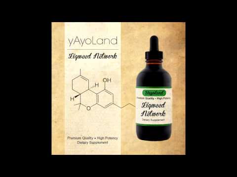 yAyo Land- Network Step [FREE DUBLOAD]