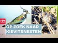 Hoe bescherm je nesten van weide- en boerenlandvogels? | ROEG! | RTV Drenthe