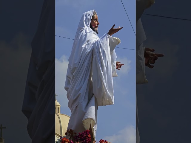 Vídeo relacionado con Semana Santa Religiosa Citas Jesús Resucitado | Cristiano Él Es Resucitado PopSockets PopGrip Intercambiable