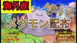 【海外産】A抜け５Vメタモン配布【ポケモンSV】