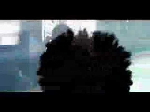 Limoilou Style - Limoilou Starz