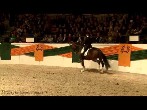 Imperio und Hubertus Schmidt bei der Trakehner Gala-Schau 2011