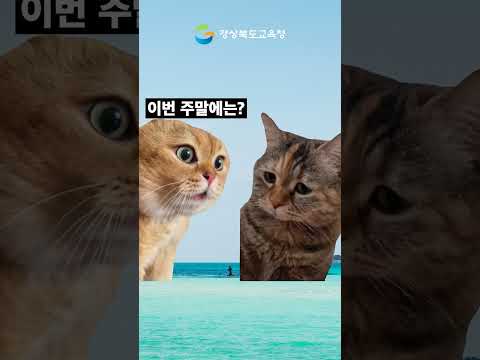 주말에 집에만 있으면 안 되는 이유