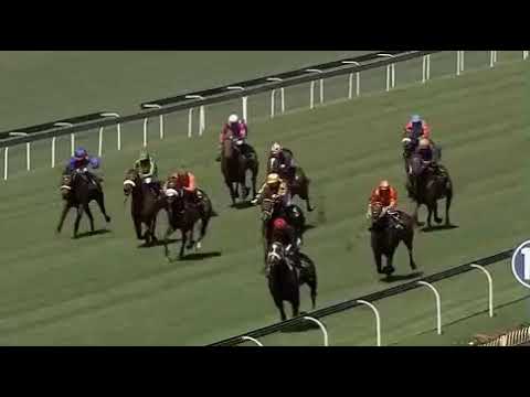 Gin Fizz, Turffontein 17/2/2019