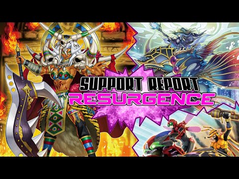 Support Report 2022 - Part 1: Resurgence