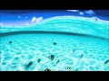 Vacationer - Trip (Body Language Remix) 