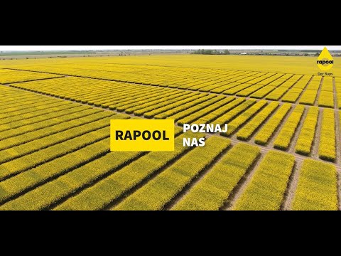 Jak powstają odmiany RAPOOL?