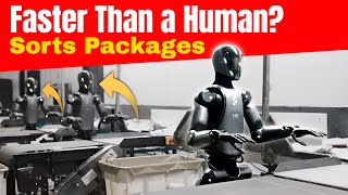 watching robots sort packages faster than humans is a different experience
