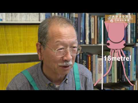 ミゲル・デ・イカサについて詳しく解説