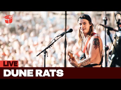 Dune Rats - 'Scott Green' (Splendour In The Grass 2017)