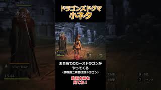 ドグマ小ネタ、非公開だった簡単レベル上げ方法【Dragon's Dogma: Dark Arisen(ドラゴンズドグマ ダークアリズン)】【ゆっくり実況】#ゲーム実況 #shorts  #games
