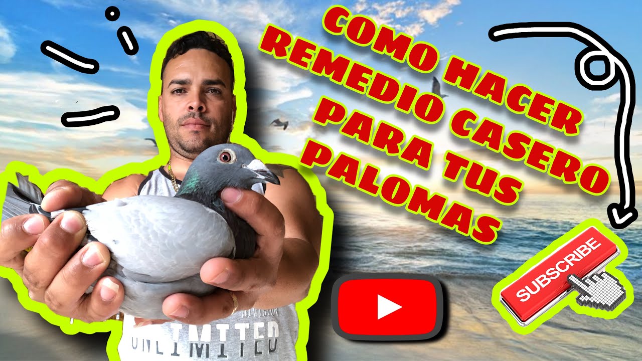 Watch COMO HACER REMEDIO CASERO PARA PALOMAS#1MEDICINA NATURAL AJO,CEBOLLA,VINAGRE Y OTROS Now COMO HACER REMEDIO CASERO PARA PALOMAS#1MEDICINA NATURAL AJO,CEBOLLA,VINAGRE Y OTROS