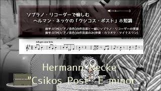 Download lagu ヘルマン・ネッケのクシコス・ポスト ホ短調をソプラノリコーダーで Hermann Necke 'Csikos Post' E minor mp3