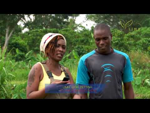 Understanding Fish Farming with Derrick a successful fish producer in Uganda