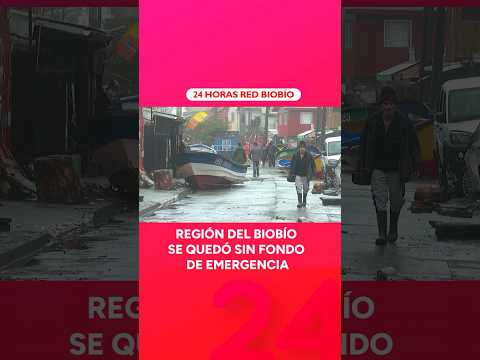 Gore Biobío confirmó que 2% de emergencia se usó en incendios